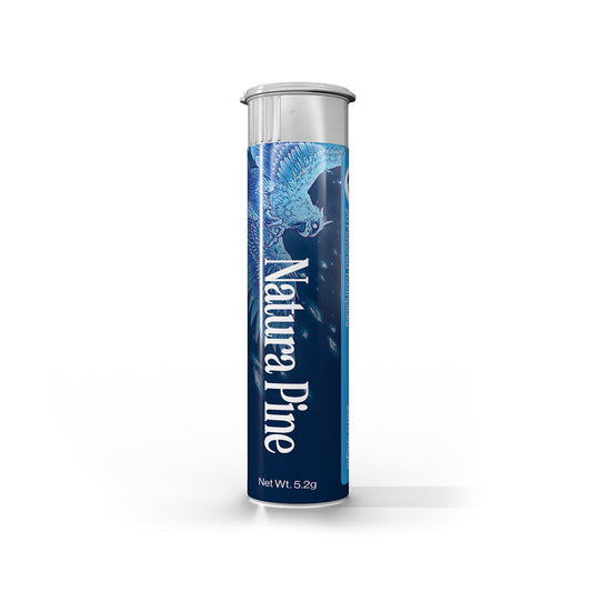 Winter Mint Flavored Toothpicks Tube - Natura Pine