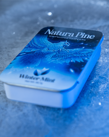 Winter Mint Flavored Toothpicks Tin - Natura Pine
